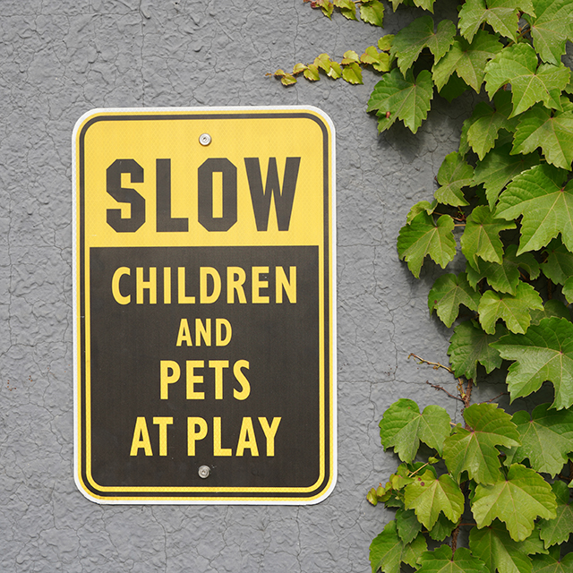 Stainless Steel Tamper‑Proof Screw Stud – Anti‑Theft Security Fastener